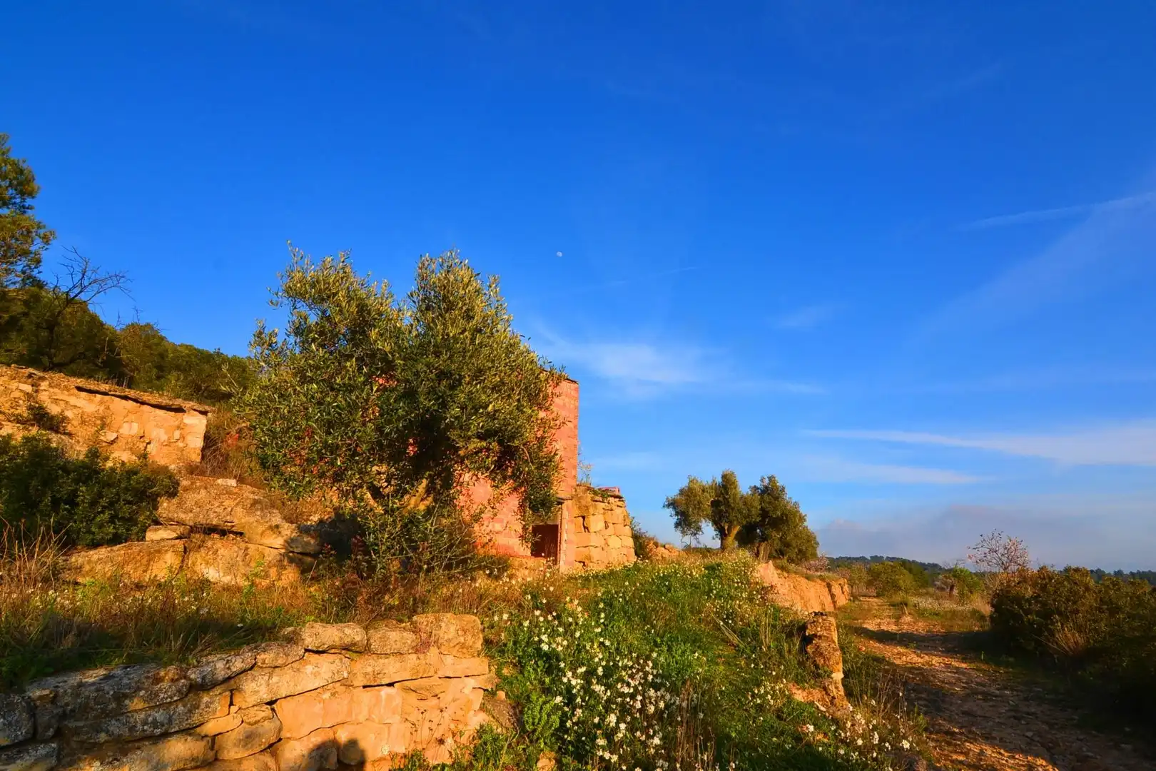 Rural land for sale in Corbera d'Ebre, imagen 27