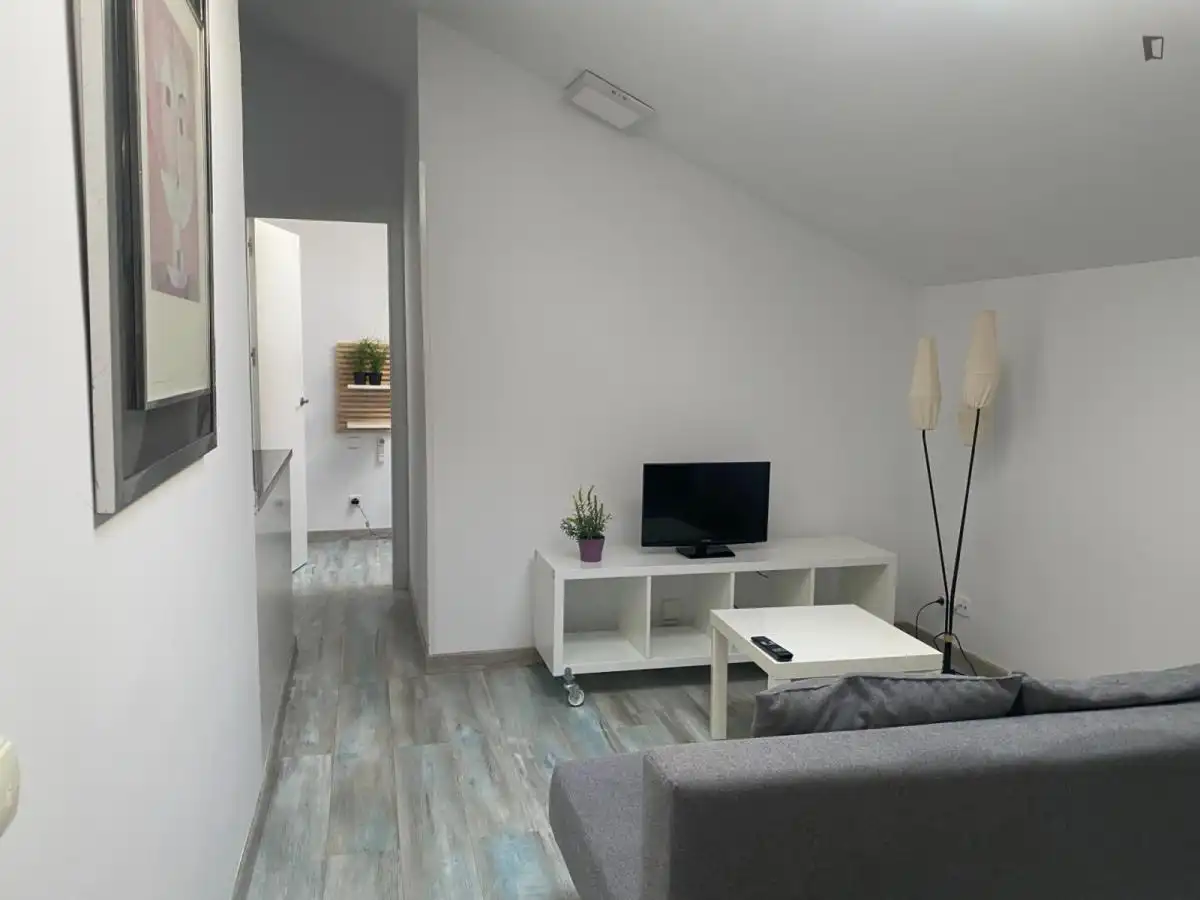Estudio de alquiler en Embajadores - Lavapiés