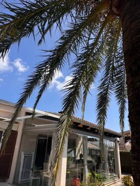 Villa mit Garten zum Verkauf in Carrer d'Alaró 4, imagen 11