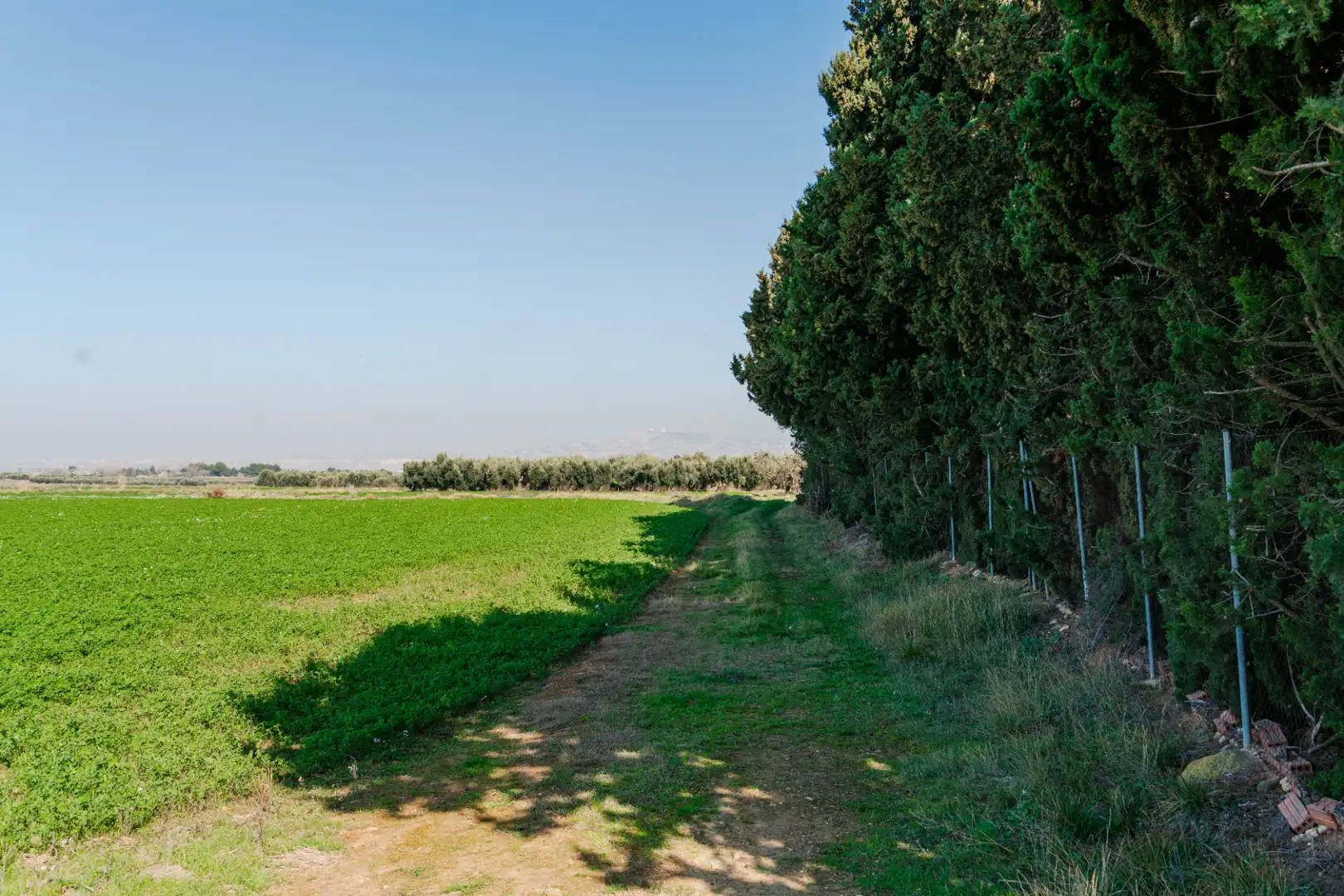Finca rústica en venda en Pedrola amb Jardí privat, Terrassa i Moblat
