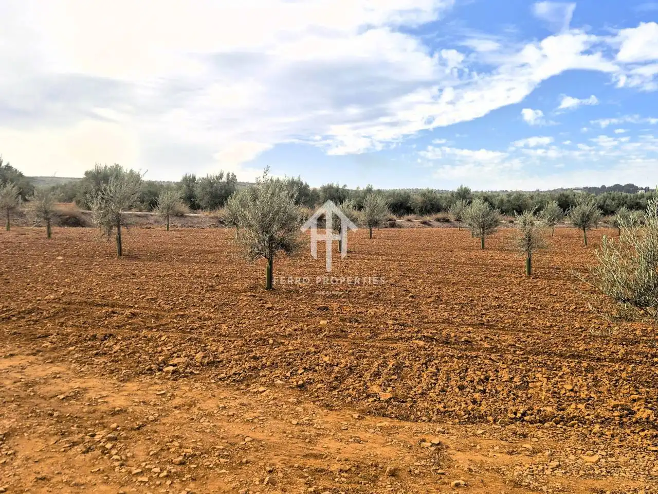Rural land for sale in Moraleda de Zafayona, imagen 7