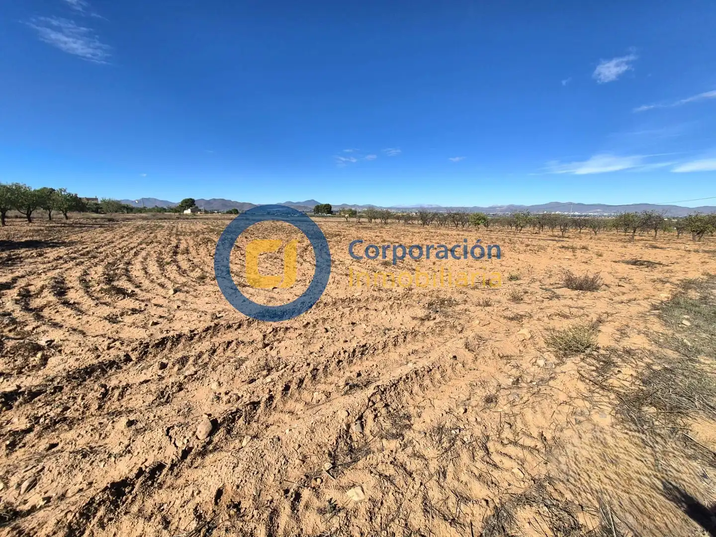 Terreny residencial en venda a Pedanías Sur, imagen 5