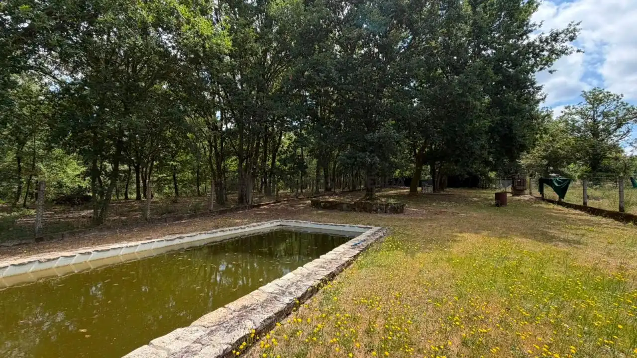 Piscina de Casa o xalet en venda en Ourense Capital  amb Calefacció, Jardí privat i Terrassa