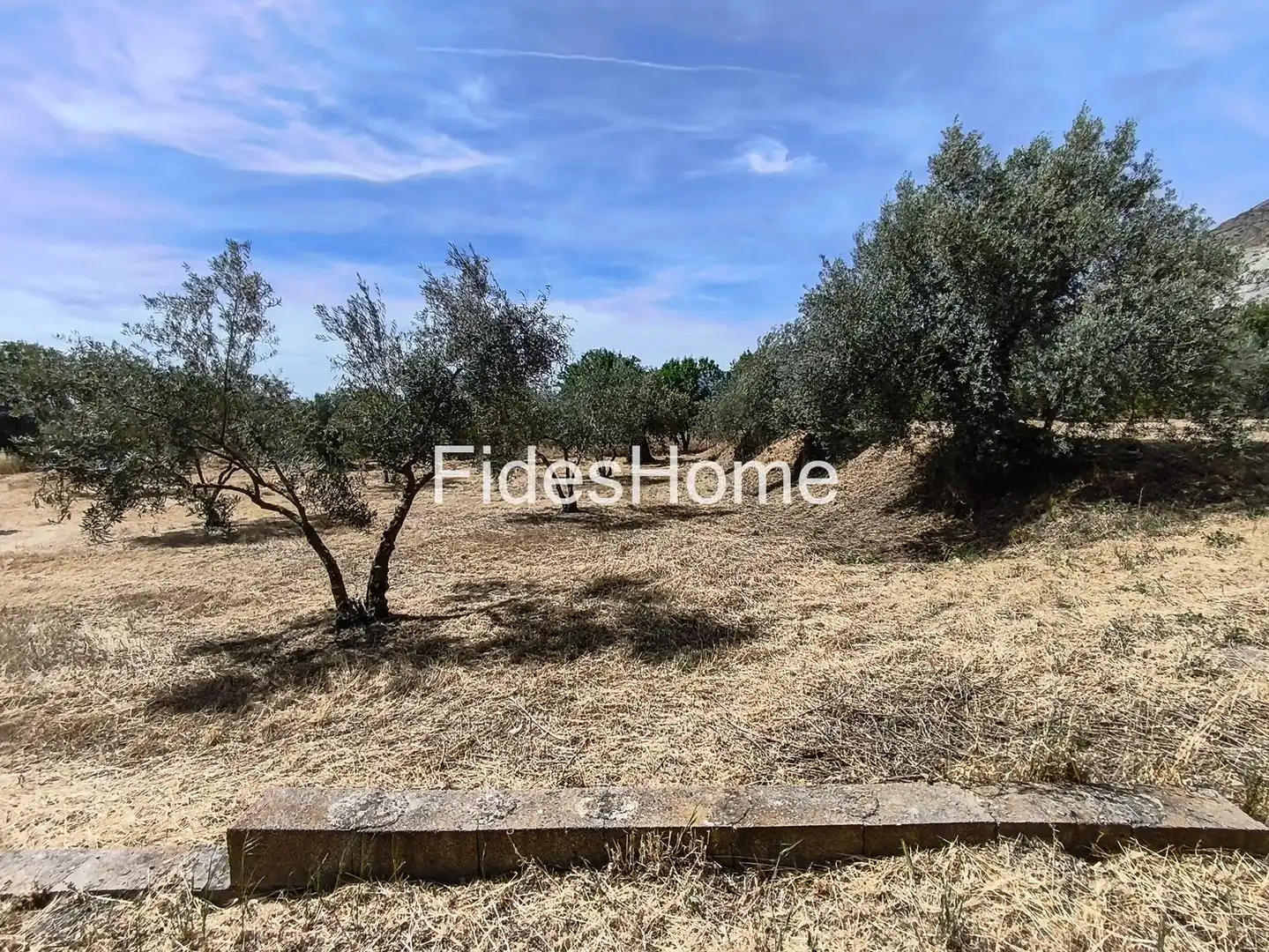 Rural land for sale in XFJ3+526 Nigüelas 0, imagen 16