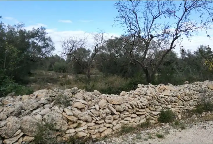 Terreny rústic en venda a Plaça de la Palmera, imagen 2