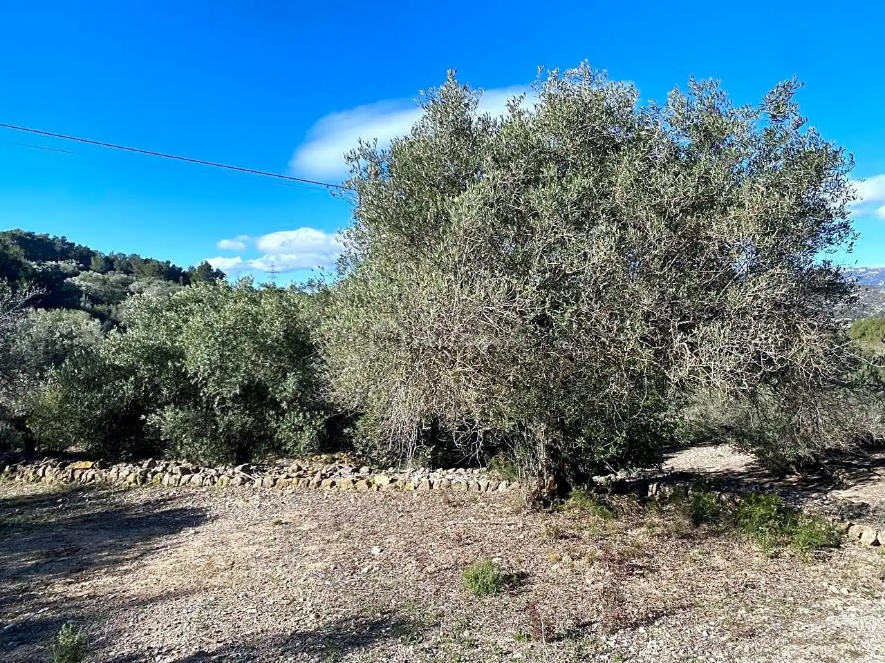 Terreno rustico in vendita a Aubachs, imagen 22