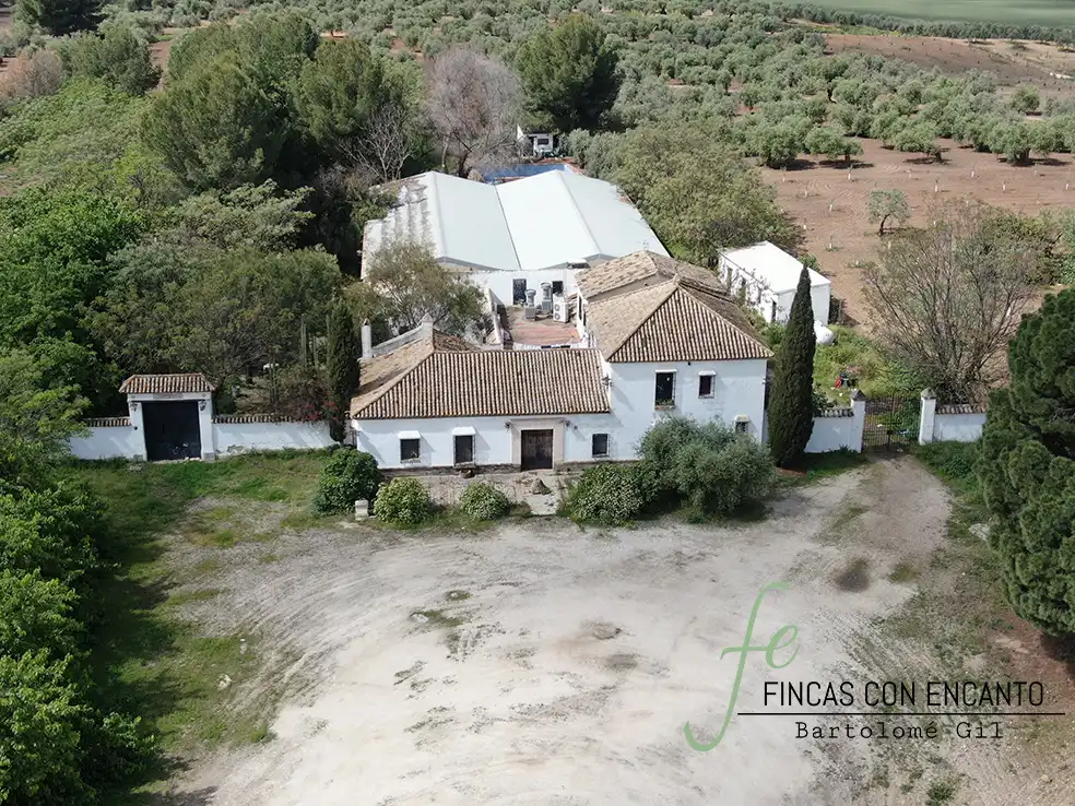 Vista exterior de Finca rústica en venda en Marchena amb Aire condicionat, Terrassa i Piscina