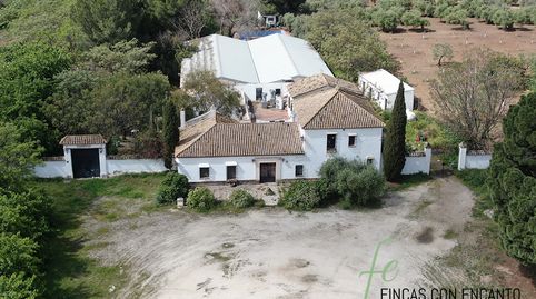 Foto 3 de Finca rústica en venda a Marchena, Sevilla
