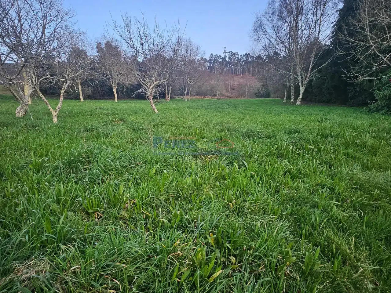 Finca rústica en venta en Cabanas con Calefacción y Jardín privado