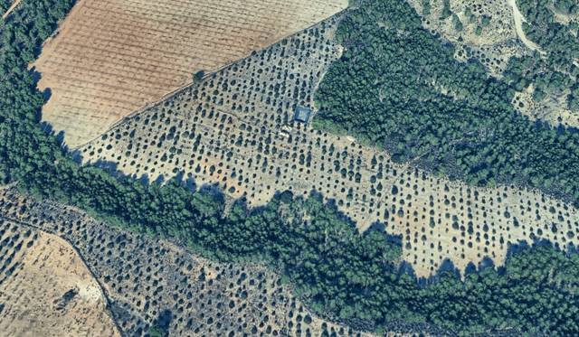 Terreno en Venta en Fontanares