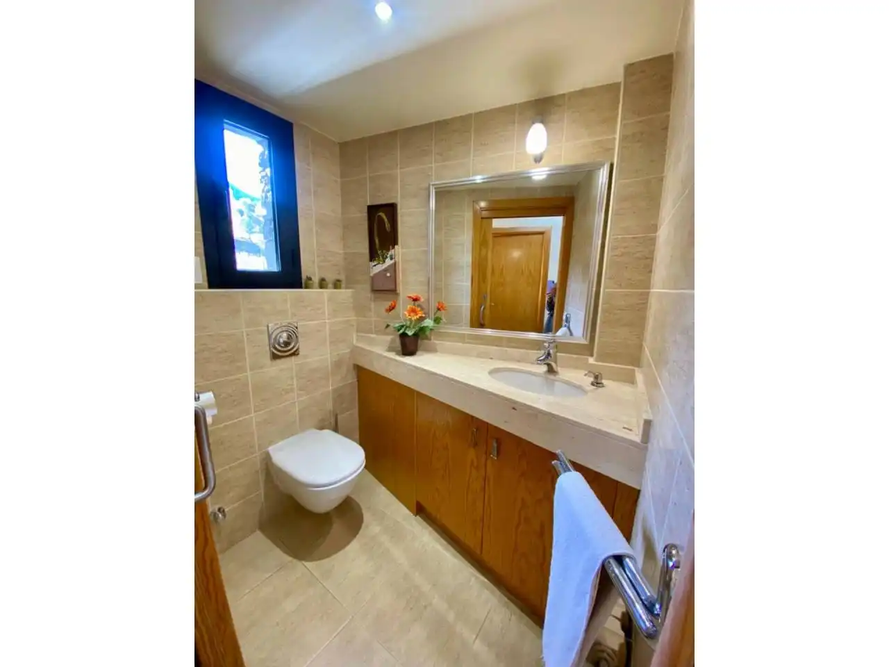 House with garden for sale in Calle Clota verda, imagen 39