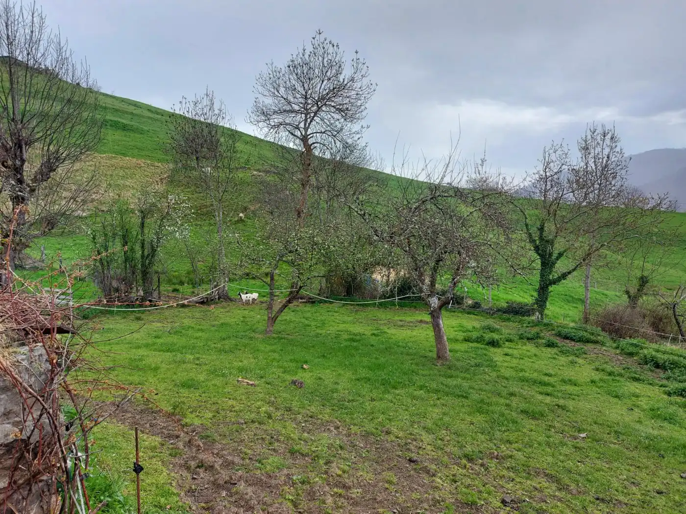 Houses for sale in Camaleño  with Private garden