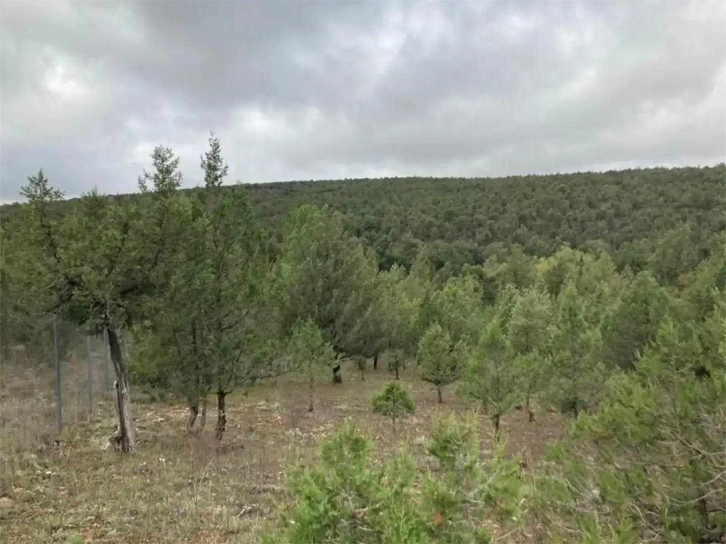 Terreno en venta en Duruelo