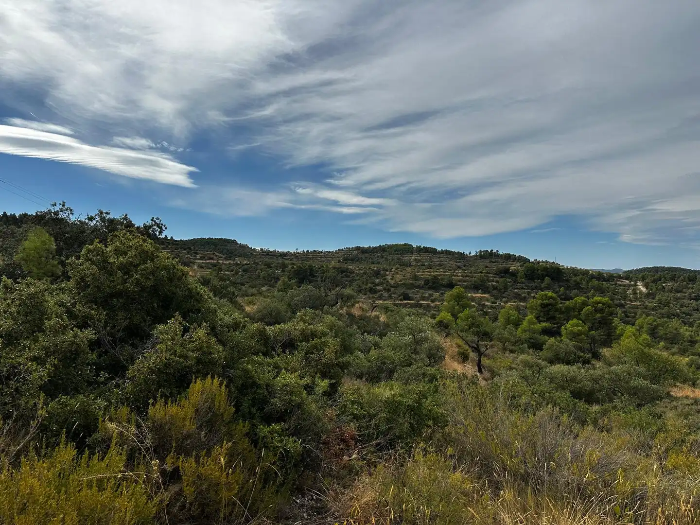 Terreny rústic en venda a Cervià de Les Garrigues, imagen 15