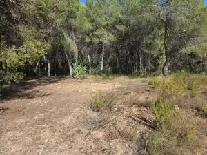 Rustikales Grundstück zum Verkauf in Partida Cumbres de Calicanto, imagen 2