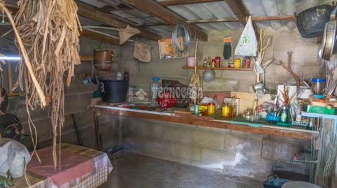 Photo 5 of Land for sale in La Vega - El Amparo - Cueva del Viento, Icod de los Vinos