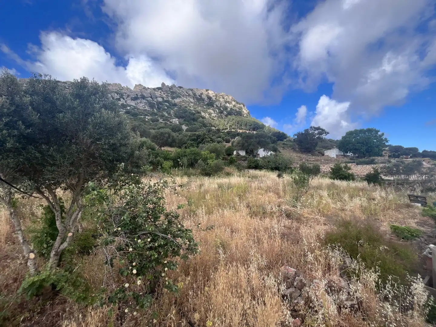 Finca rústica en venta en Tarifa con Jardín privado y Trastero