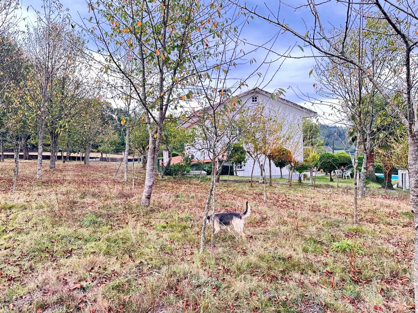 Houses for sale in Boqueixón, A Coruña