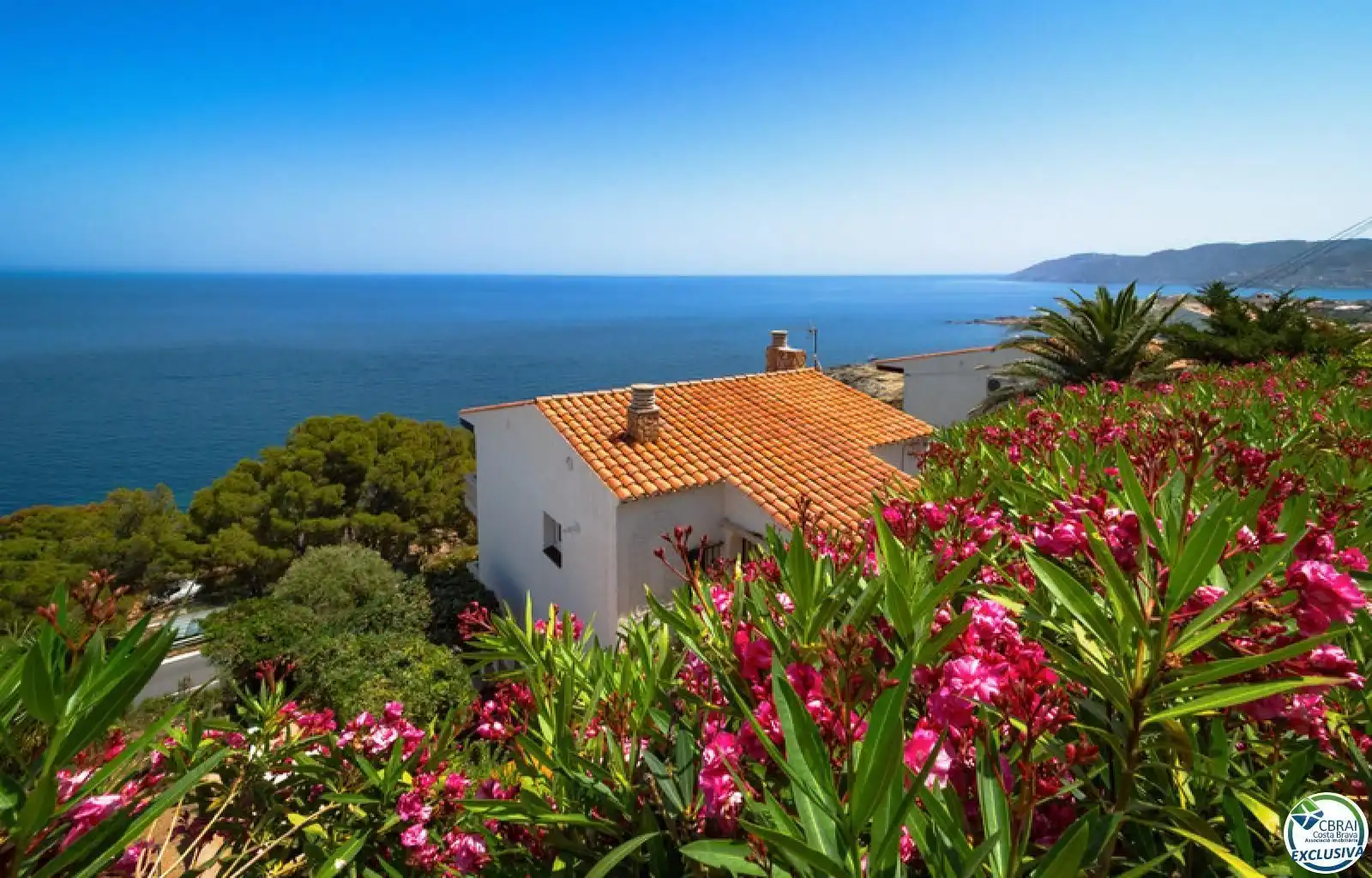 Villa à vendre à Calle carrer de santa isabel, imagen 2