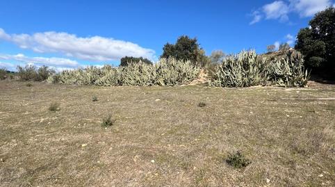 Foto 3 de Finca rústica en venda a de Boadilla a Villaviciosa, Castillo Campodón, Villaviciosa de Odón