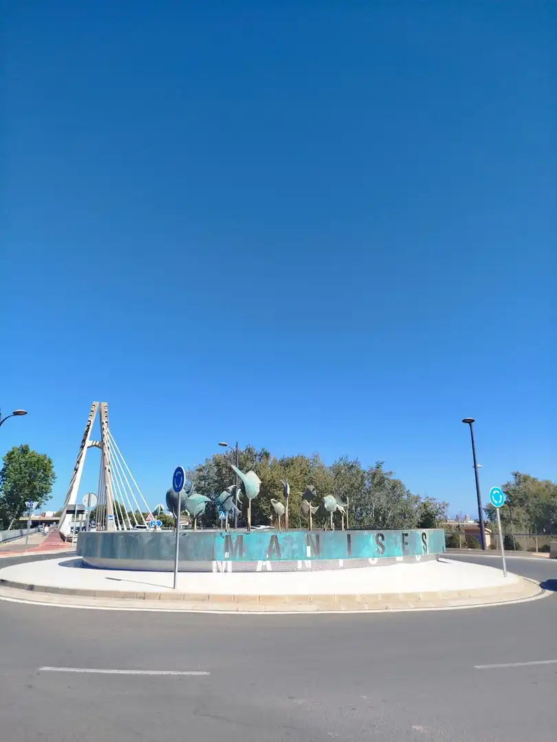 Lands and plots for sale in Centro Ciudad, imagen 9