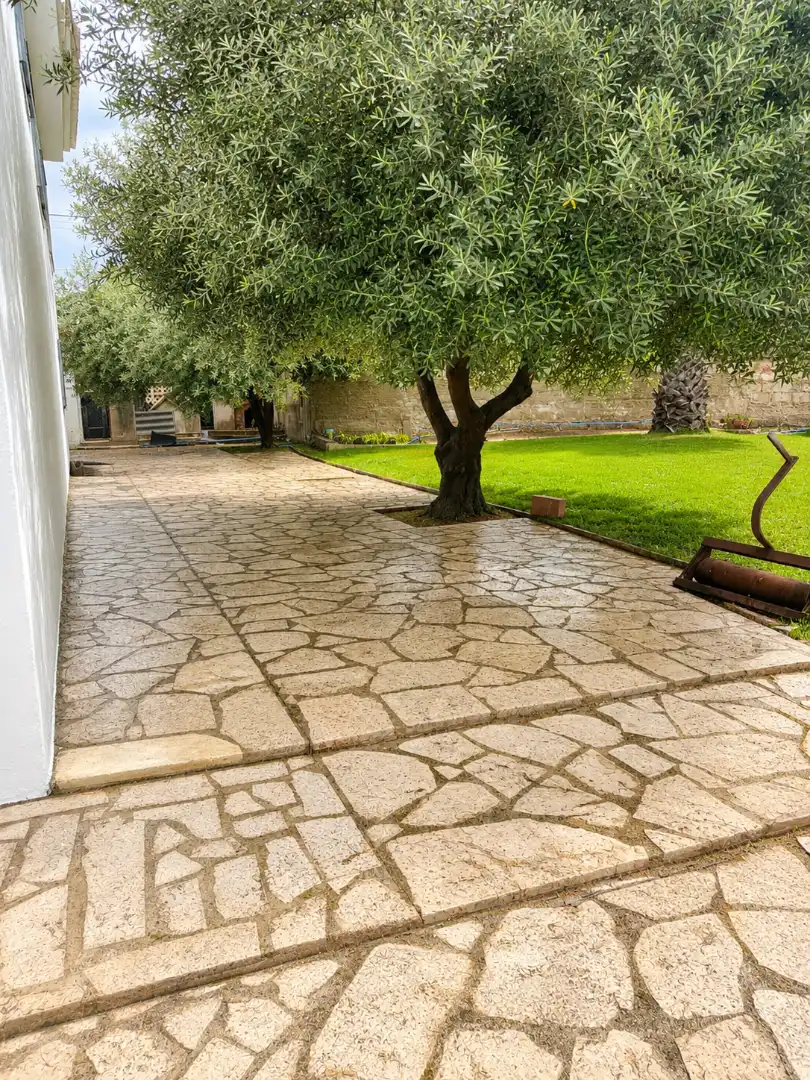 Jardín de Casa o chalet en venta en Vinaròs con Aire acondicionado, Calefacción y Jardín privado