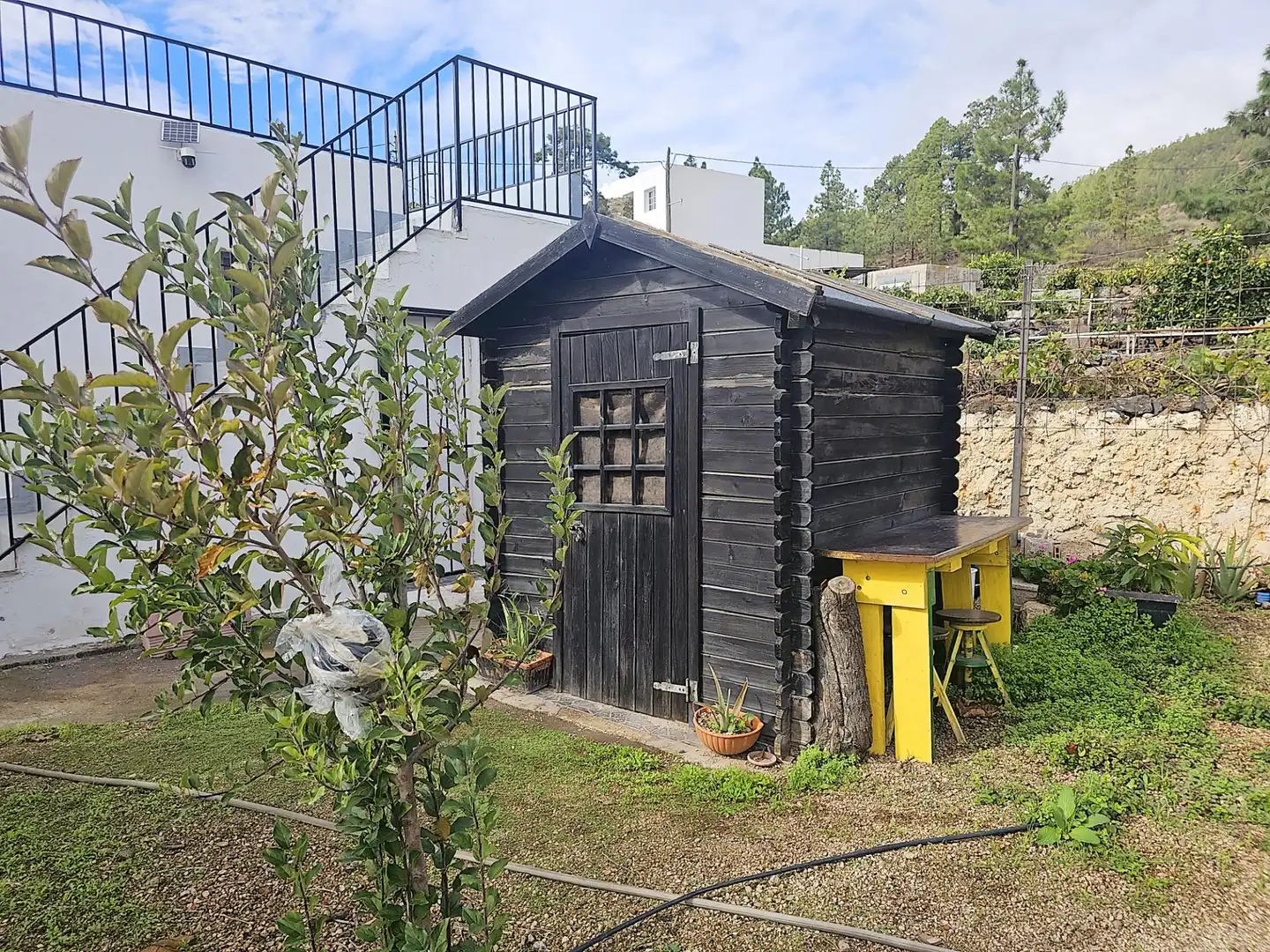 Jardí de Finca rústica en venda en Granadilla de Abona