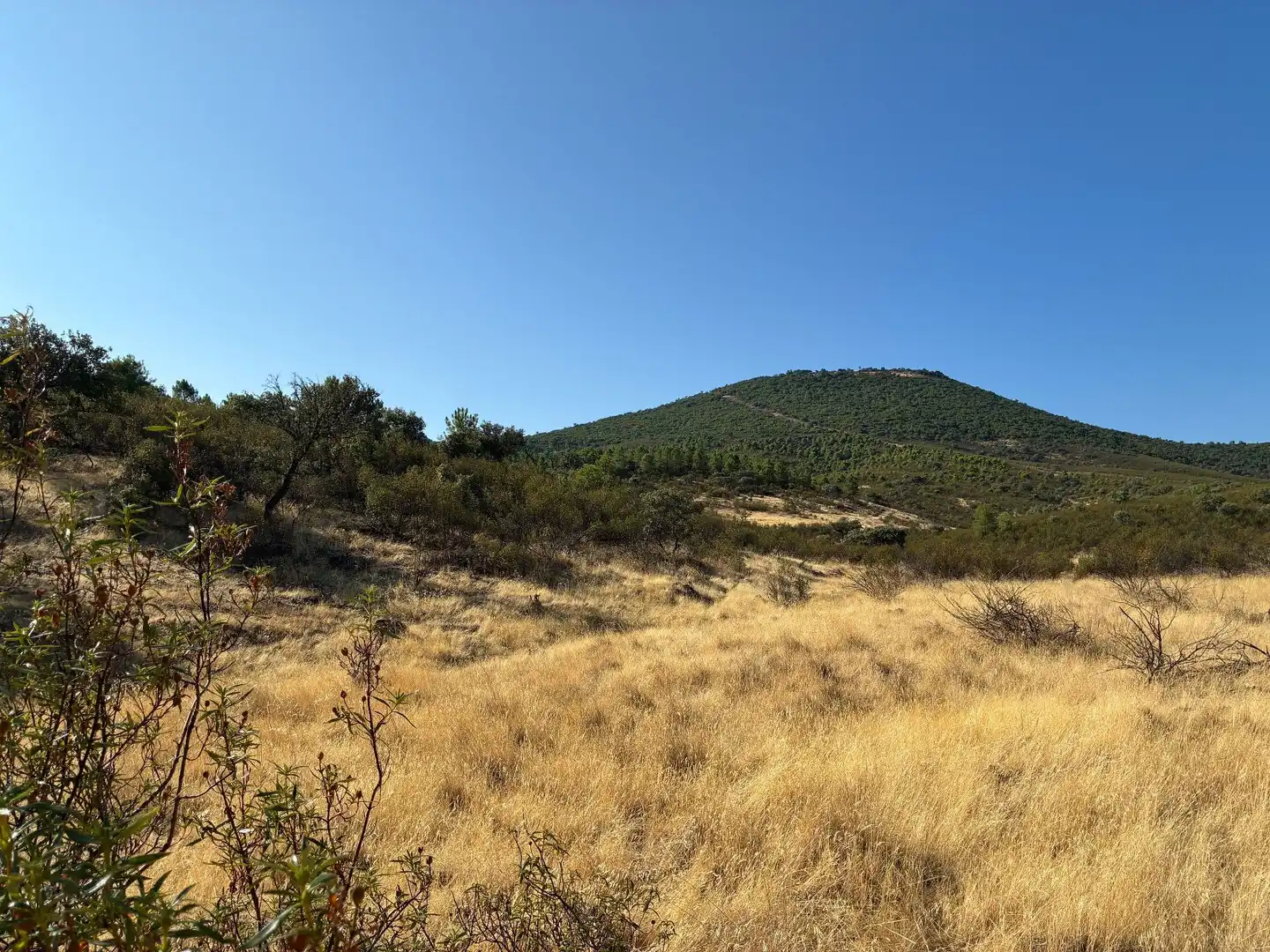 Rural land for sale in Puerto de San Vicente, imagen 15