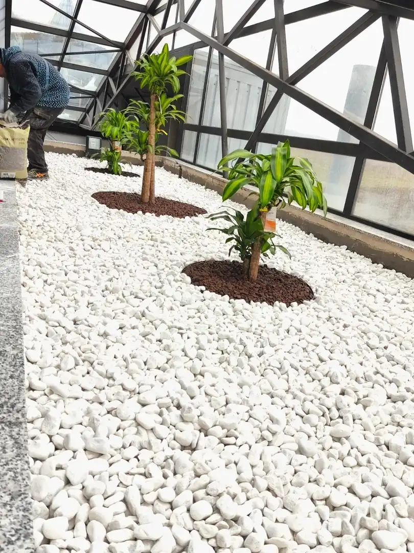 Jardín de Oficina de alquiler en Vitoria - Gasteiz con Calefacción