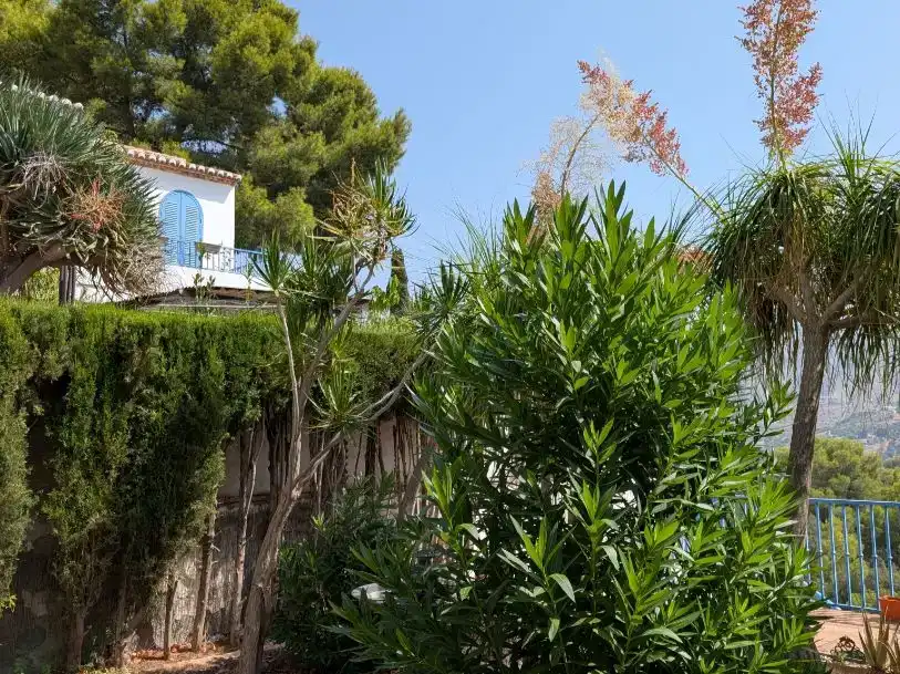 Jardí de Casa o xalet en venda en Almuñécar amb Jardí privat i Balcó