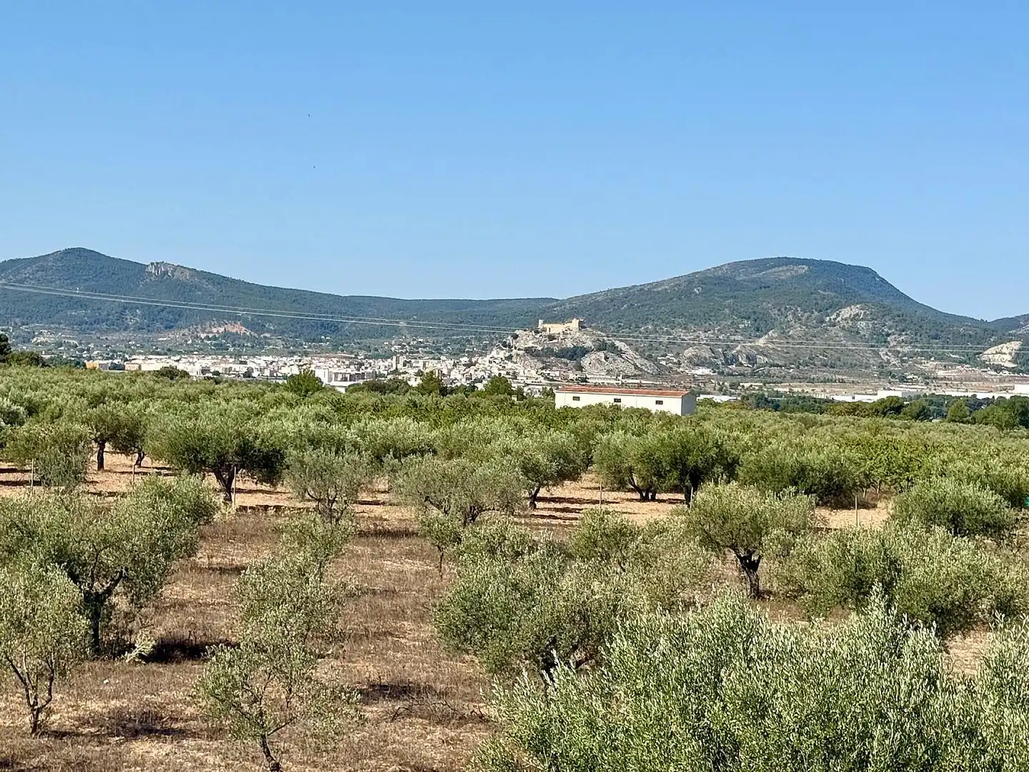 Villa in vendita a Onil, imagen 23