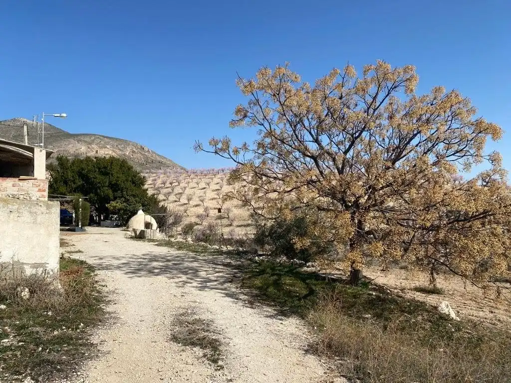 Vista exterior de Finca rústica en venta en Lorca con Terraza