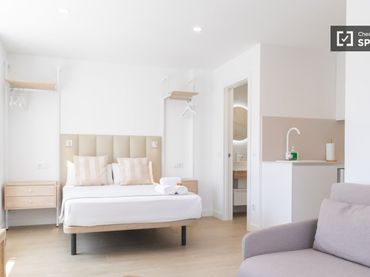 Appartamento in affitto a Barrio de Salamanca