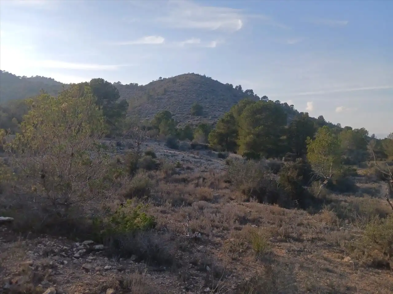 Residential land for sale in Proc. Simplificado, imagen 9