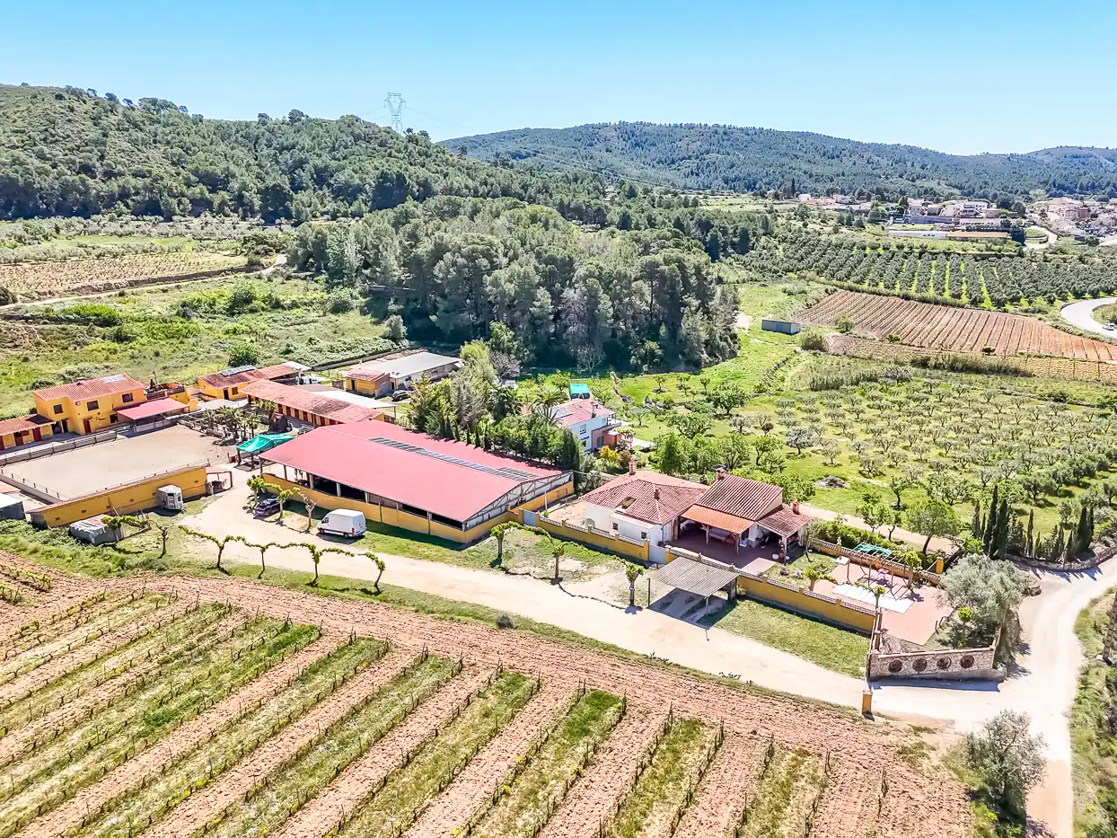 Rural land for sale in Bonastre, imagen 119
