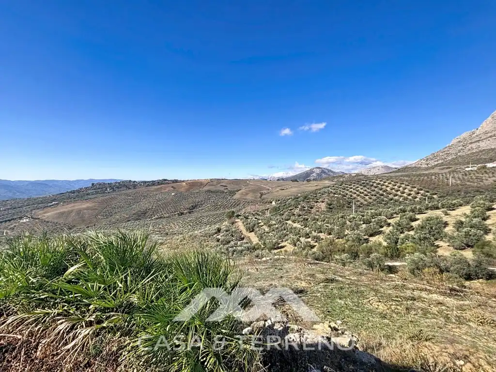 Casa o chalet en venta en Periana con Jardín privado, Terraza y Lavadora