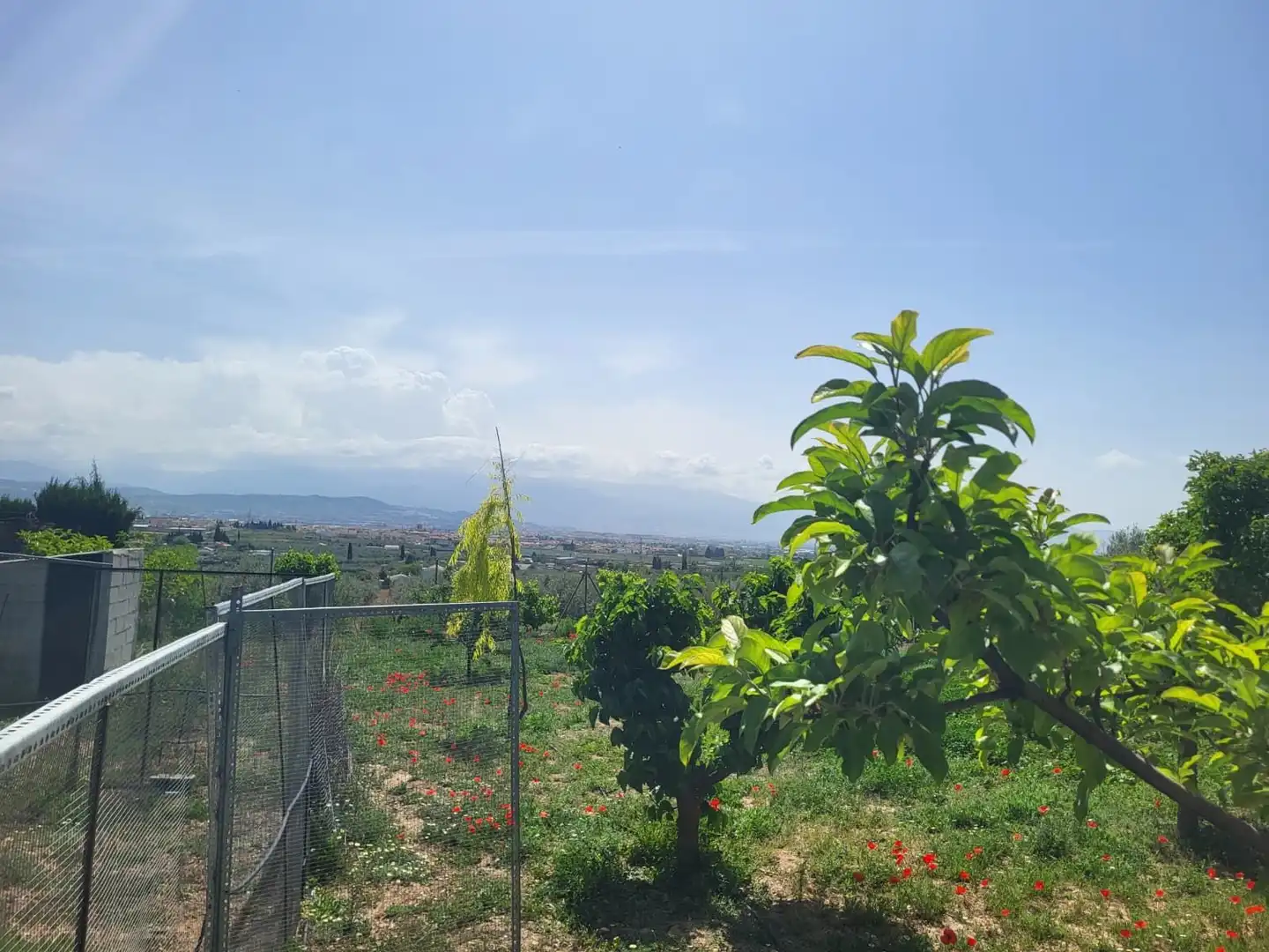 Terrenos y solares en venta en El Torreón - Cortijo Pretel, imagen 17