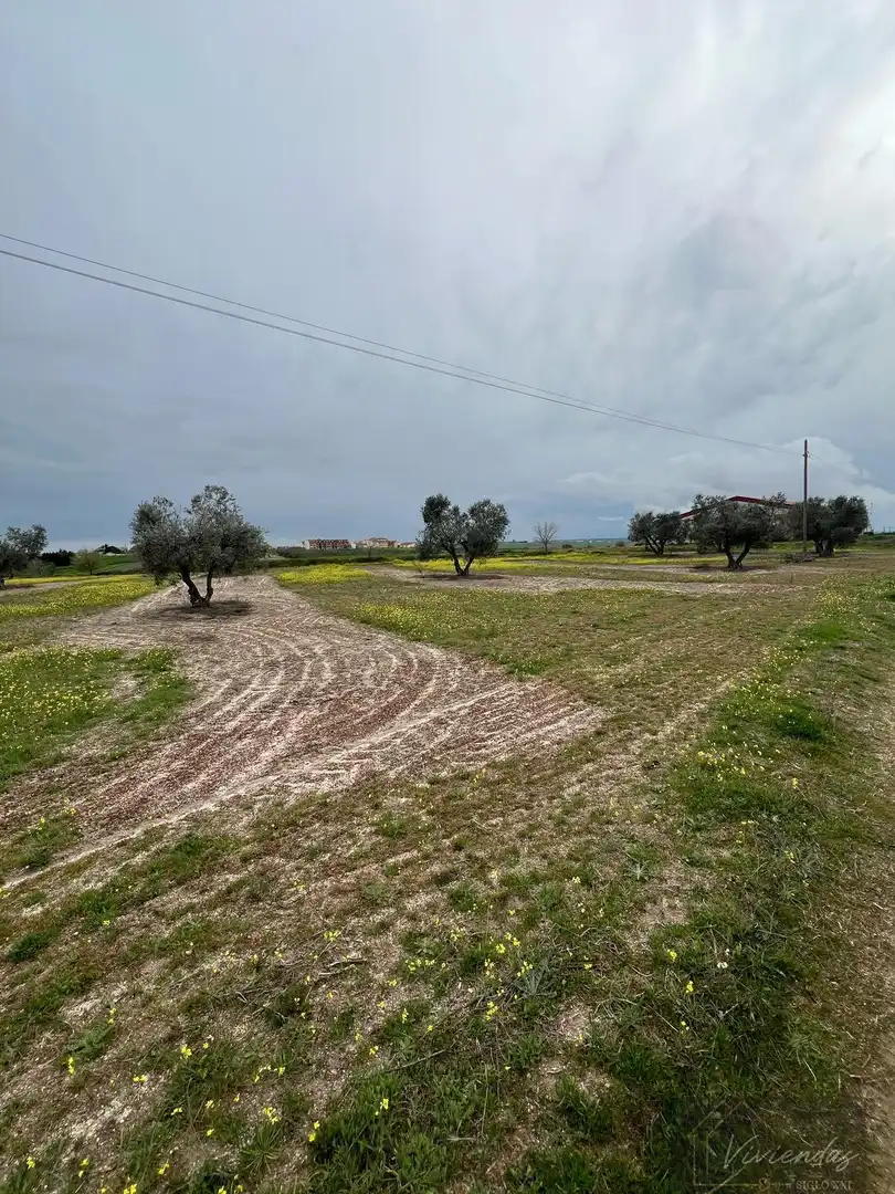 Terreny residencial en venda a El Viso de San Juan, imagen 4