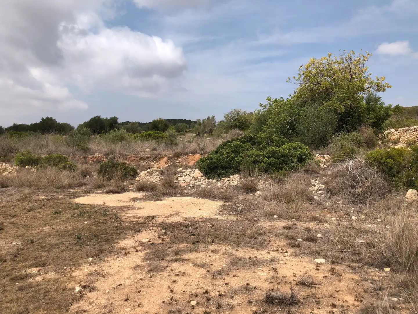Terreno rústico en venta en Camí de Masllorenç, imagen 5