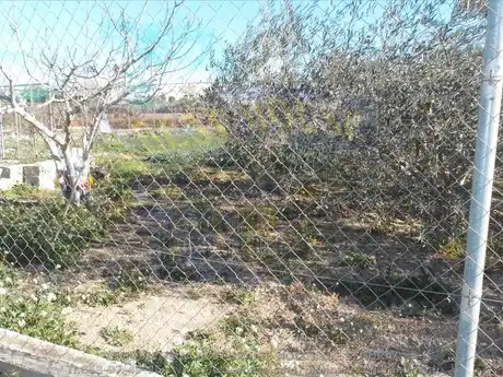 Terreny rústic en venda a Alguazas, imagen 4