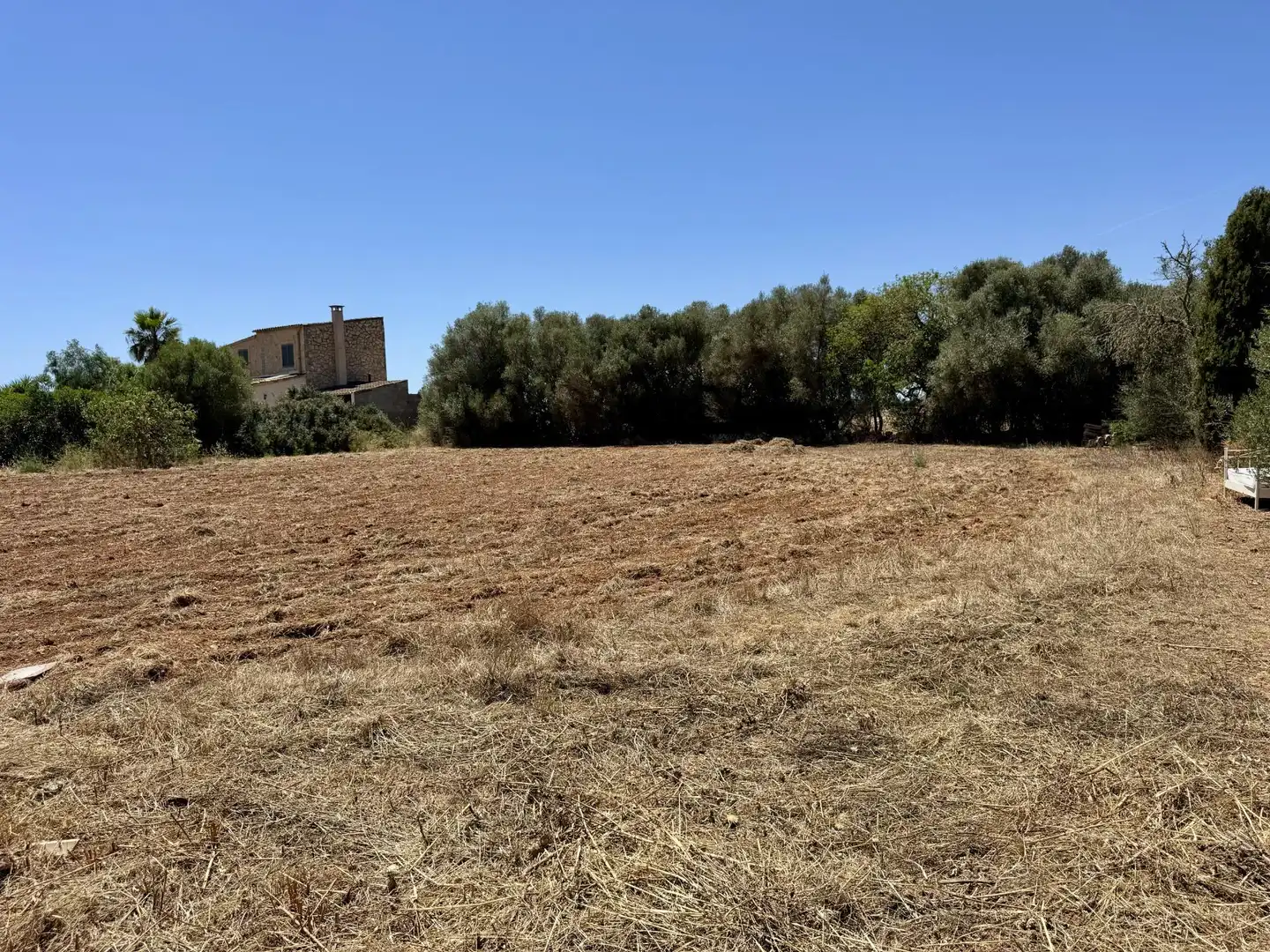 Casa o chalet en venta en Campos, Zona Rústica - Interior