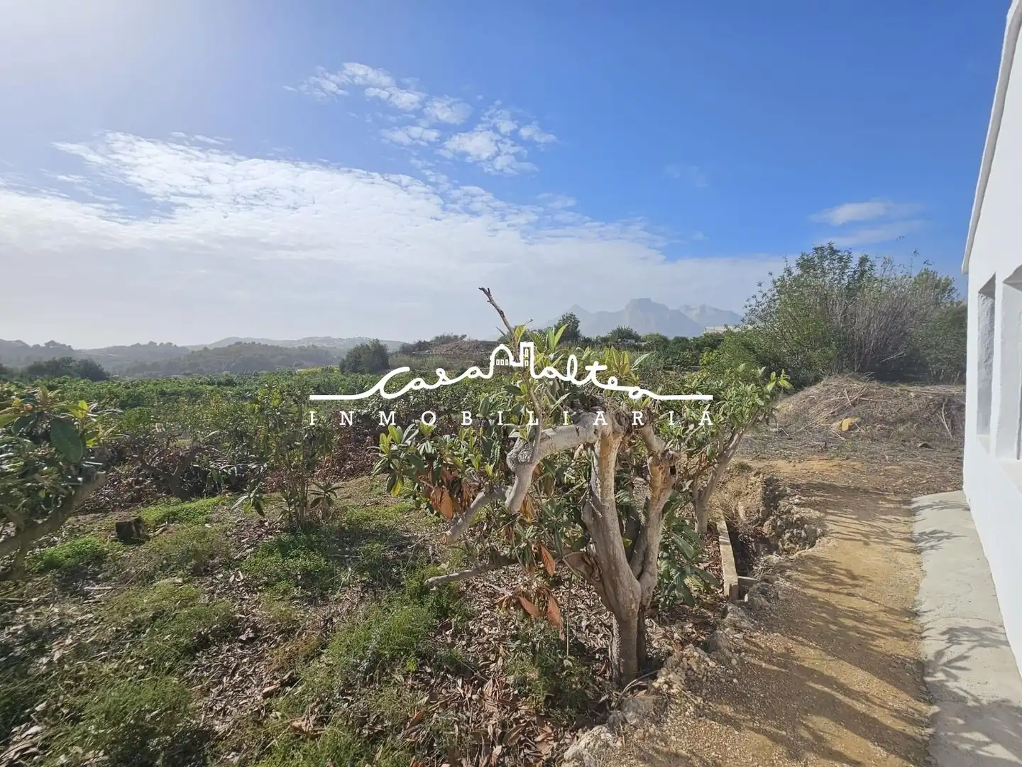 Casa rústica con jardín en venta en Callosa d'en Sarrià, imagen 15