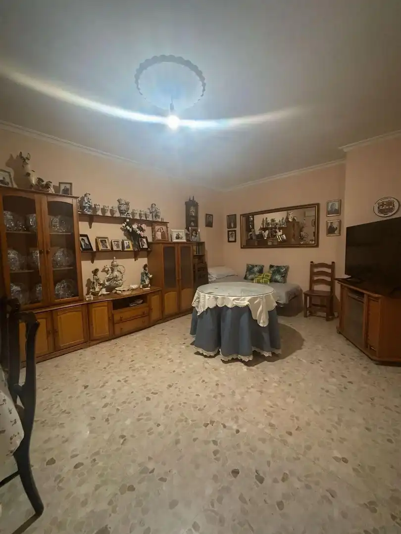 Sala d'estar de Casa o xalet en venda en Isla Mayor