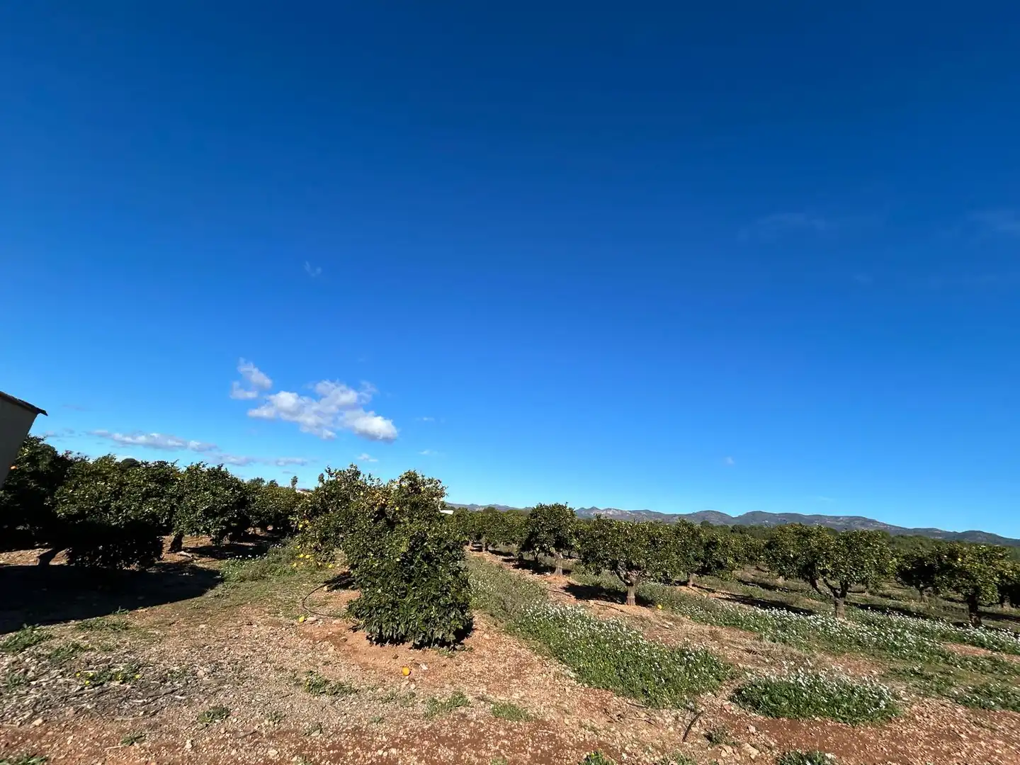 Terreno rustico in vendita a Camí de Paterna - Lloma del Calderer, imagen 4
