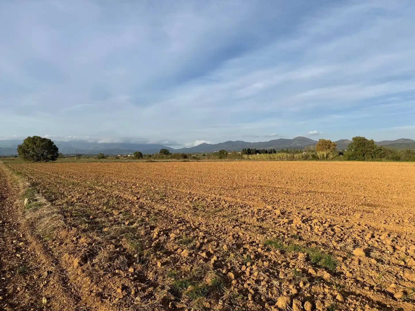 Rural land for sale in Garriguella, imagen 3