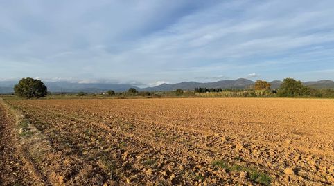 Foto 3 de Terreno en venta en Garriguella, Garriguella, Girona