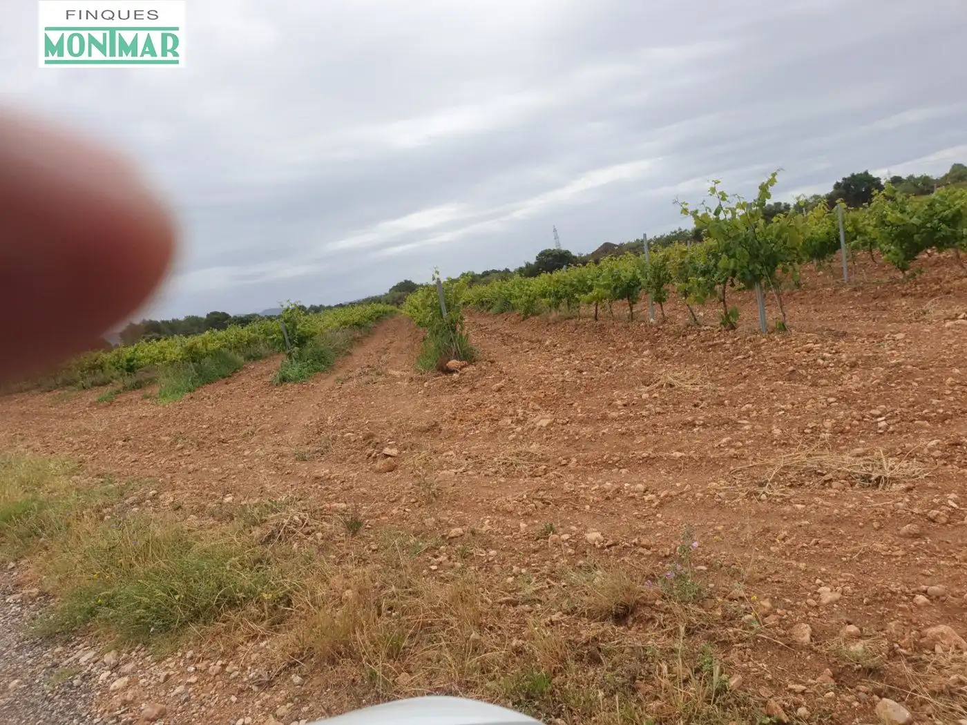 Finca rústica en venda en El Pla de Santa Maria