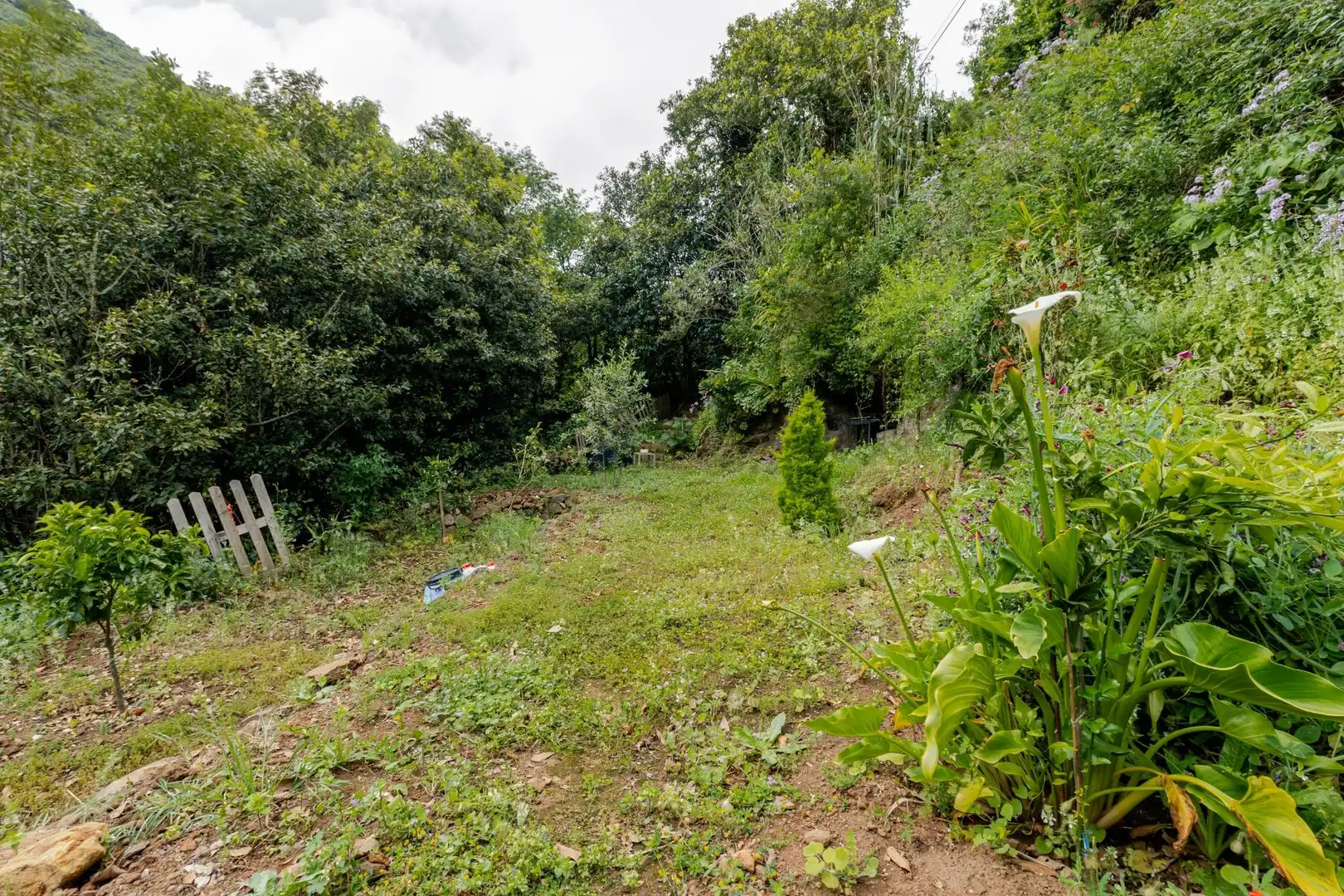 Land for sale in Teror