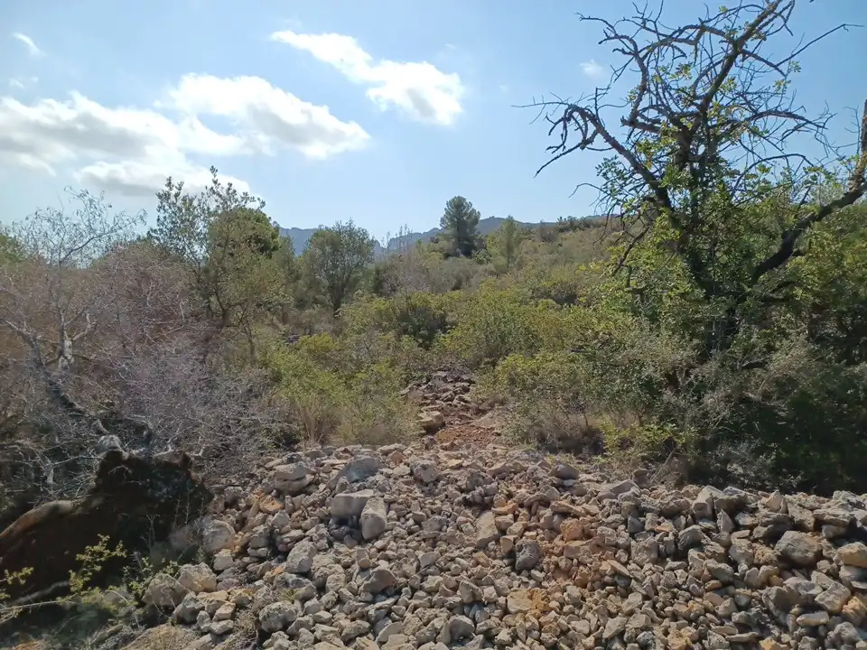 Terreno en venta en El Ràfol d'Almúnia