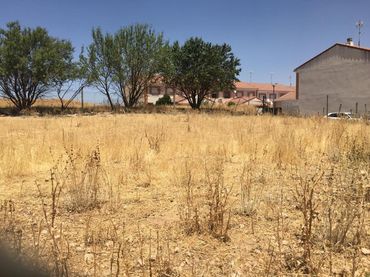 Terreno residenziale in vendita a Calle Isla
